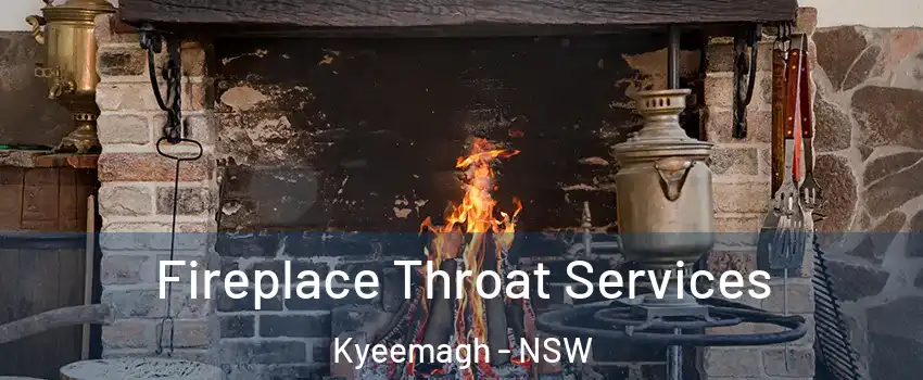 Fireplace Throat Services Kyeemagh - NSW