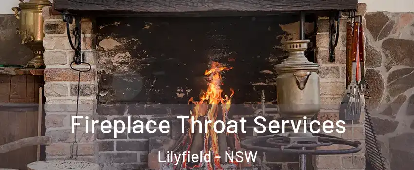 Fireplace Throat Services Lilyfield - NSW