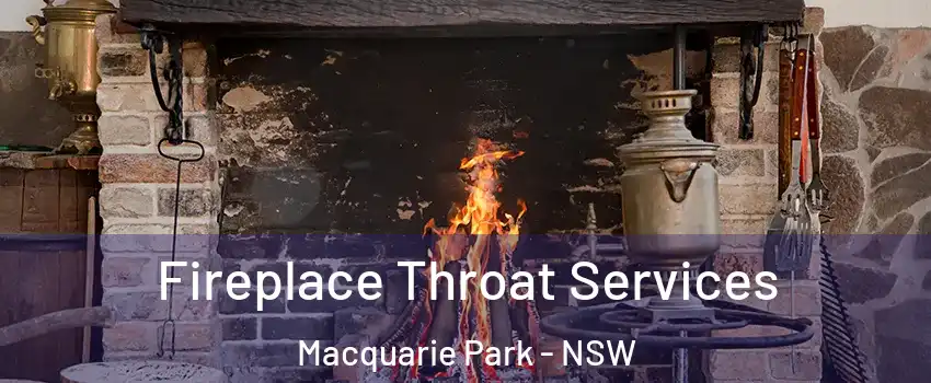 Fireplace Throat Services Macquarie Park - NSW