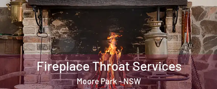 Fireplace Throat Services Moore Park - NSW