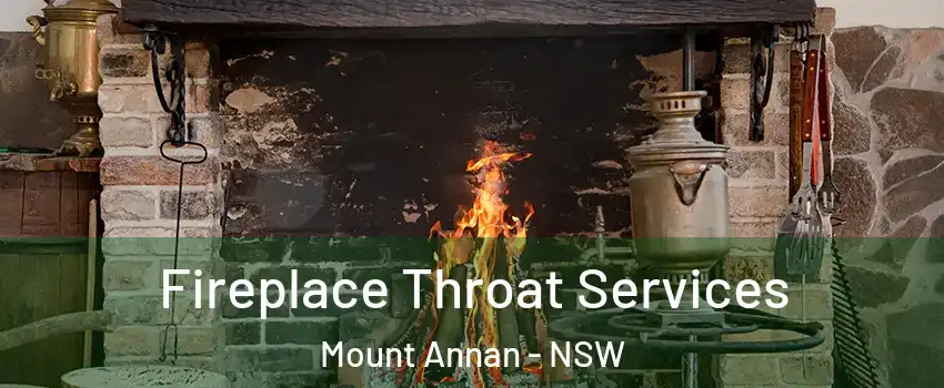 Fireplace Throat Services Mount Annan - NSW
