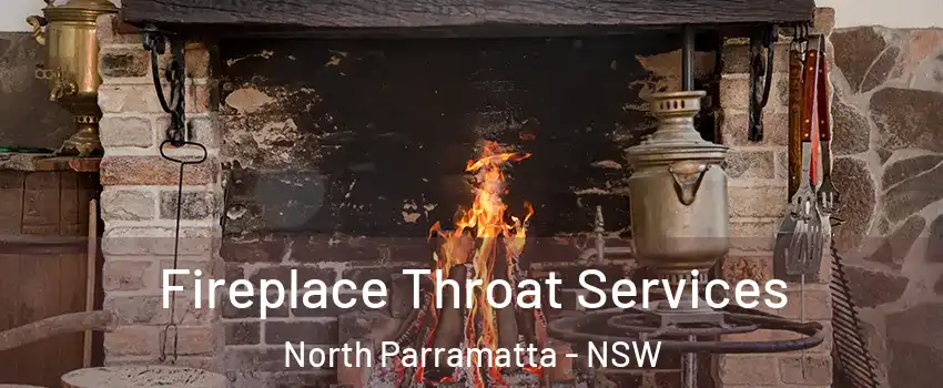 Fireplace Throat Services North Parramatta - NSW