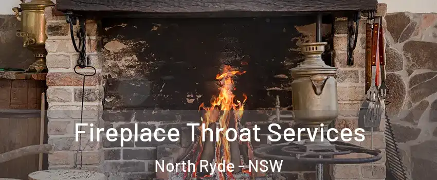 Fireplace Throat Services North Ryde - NSW