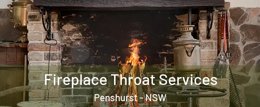 Fireplace Throat Services Penshurst - NSW