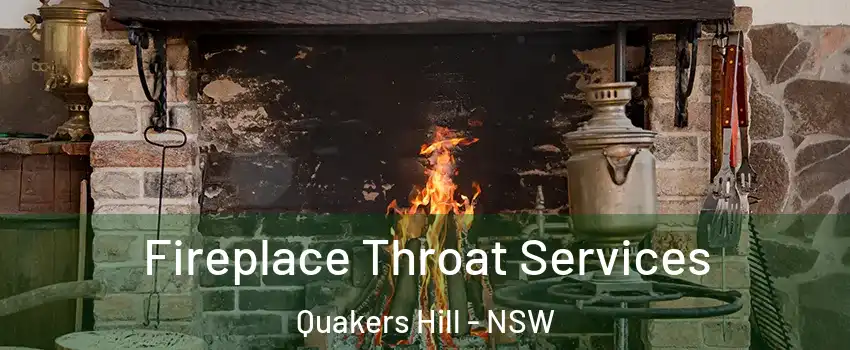 Fireplace Throat Services Quakers Hill - NSW