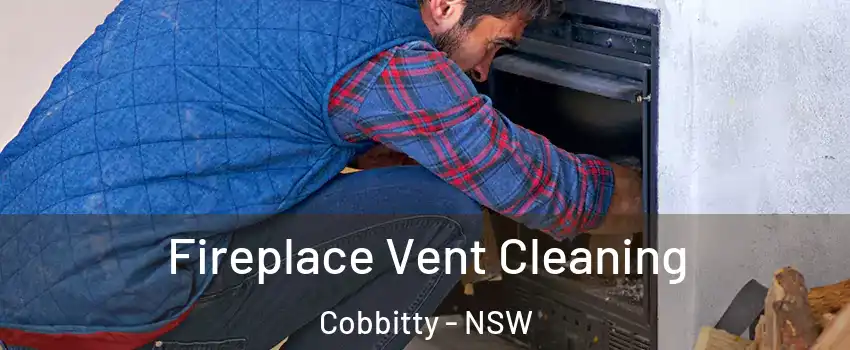 Fireplace Vent Cleaning Cobbitty - NSW