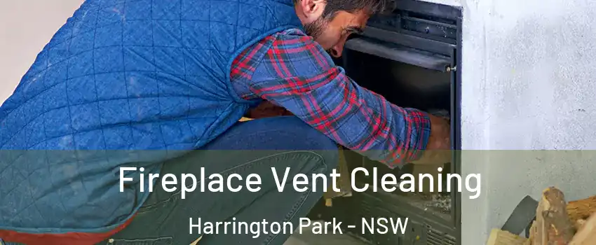 Fireplace Vent Cleaning Harrington Park - NSW