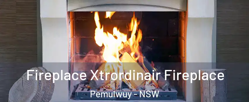 Fireplace Xtrordinair Fireplace Pemulwuy - NSW