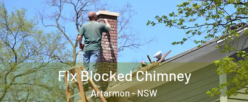 Fix Blocked Chimney Artarmon - NSW