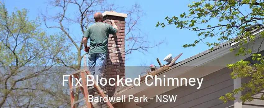 Fix Blocked Chimney Bardwell Park - NSW