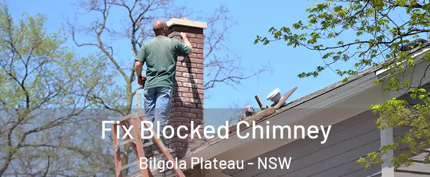 Fix Blocked Chimney Bilgola Plateau - NSW