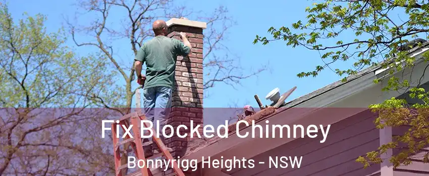 Fix Blocked Chimney Bonnyrigg Heights - NSW