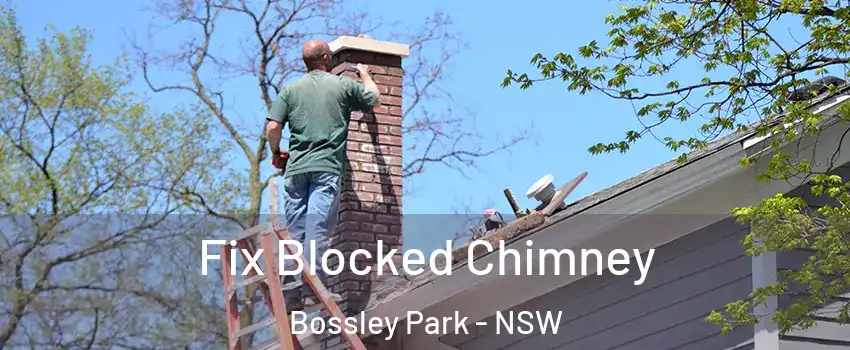  Fix Blocked Chimney Bossley Park - NSW