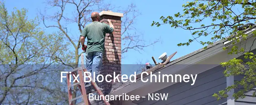 Fix Blocked Chimney Bungarribee - NSW