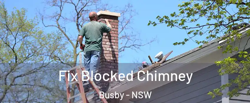  Fix Blocked Chimney Busby - NSW