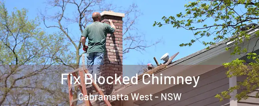 Fix Blocked Chimney Cabramatta West - NSW