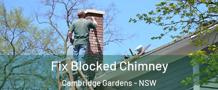 Fix Blocked Chimney Cambridge Gardens - NSW
