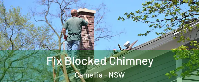 Fix Blocked Chimney Camellia - NSW