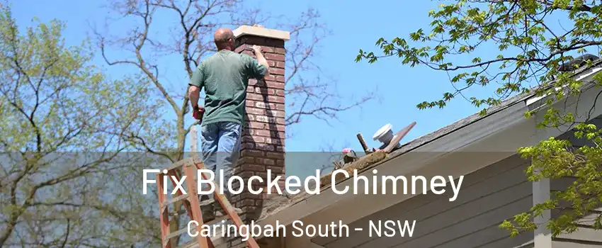 Fix Blocked Chimney Caringbah South - NSW