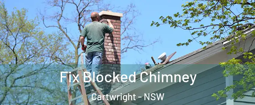 Fix Blocked Chimney Cartwright - NSW