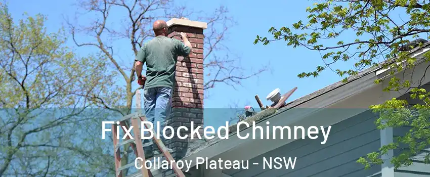 Fix Blocked Chimney Collaroy Plateau - NSW