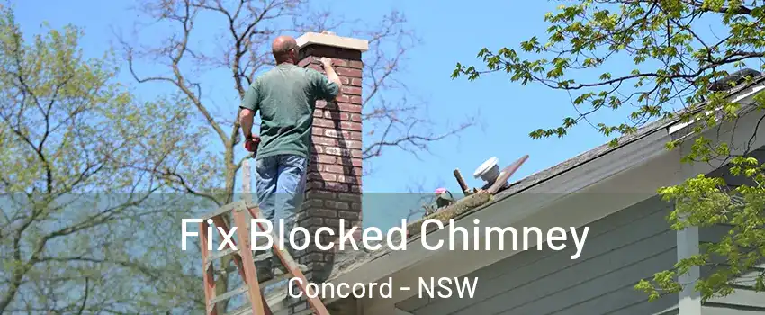 Fix Blocked Chimney Concord - NSW
