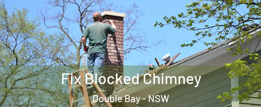 Fix Blocked Chimney Double Bay - NSW