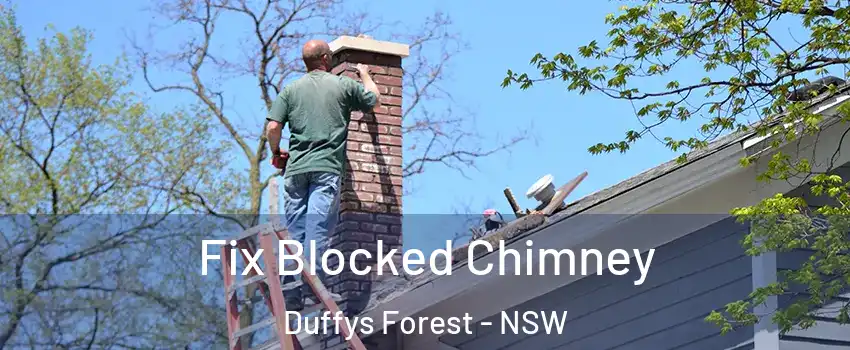 Fix Blocked Chimney Duffys Forest - NSW