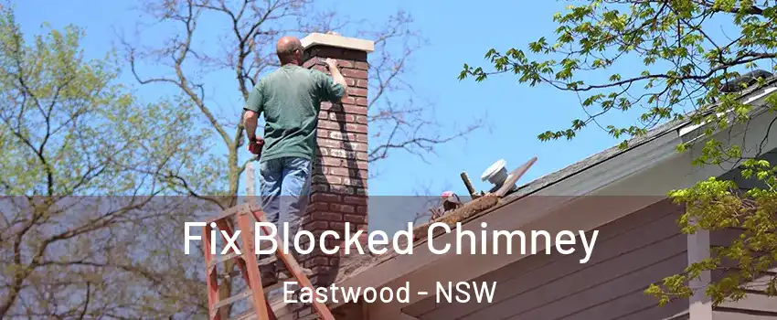 Fix Blocked Chimney Eastwood - NSW