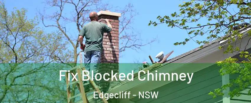 Fix Blocked Chimney Edgecliff - NSW