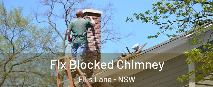 Fix Blocked Chimney Ellis Lane - NSW