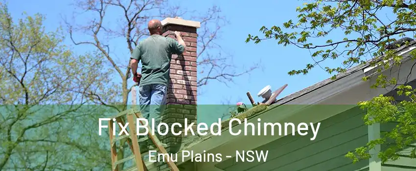 Fix Blocked Chimney Emu Plains - NSW
