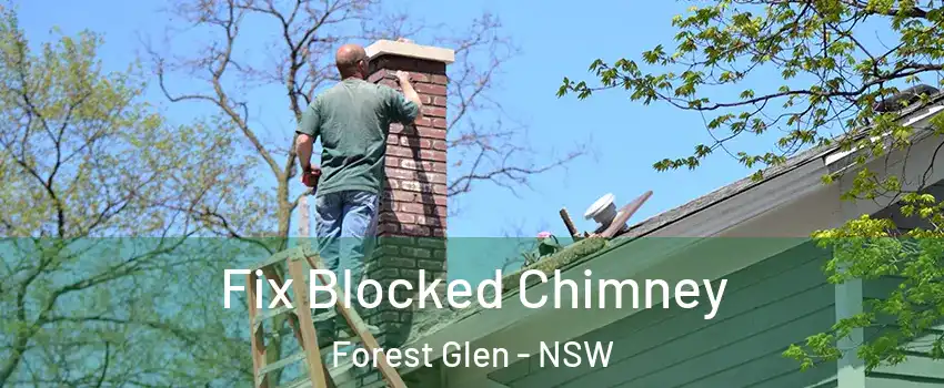 Fix Blocked Chimney Forest Glen - NSW