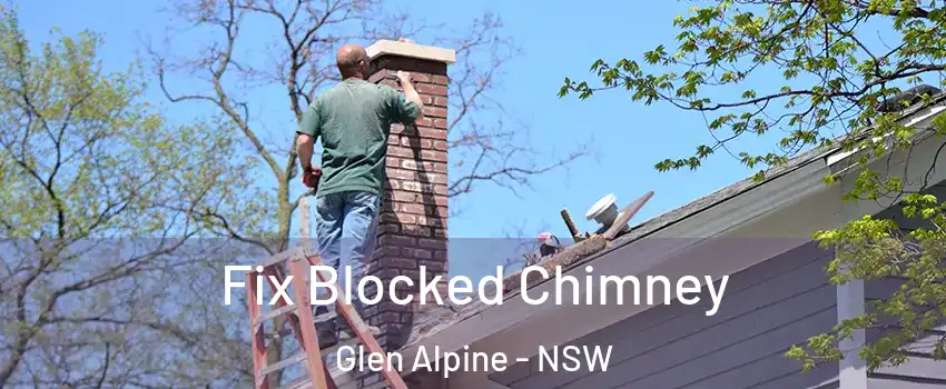 Fix Blocked Chimney Glen Alpine - NSW