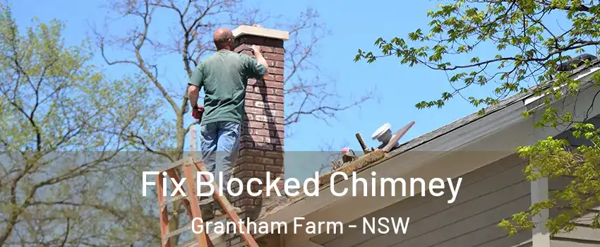 Fix Blocked Chimney Grantham Farm - NSW