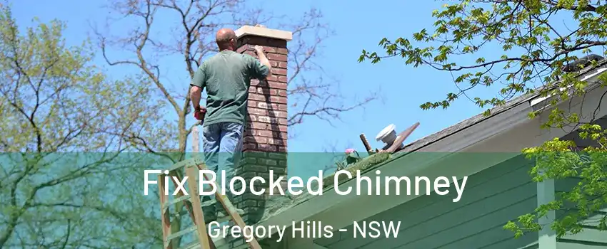 Fix Blocked Chimney Gregory Hills - NSW