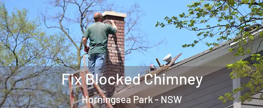Fix Blocked Chimney Horningsea Park - NSW