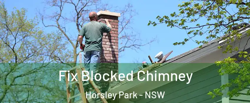 Fix Blocked Chimney Horsley Park - NSW
