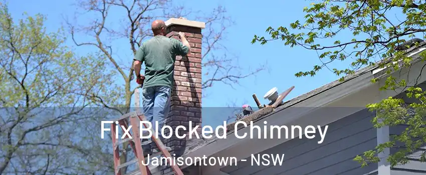 Fix Blocked Chimney Jamisontown - NSW