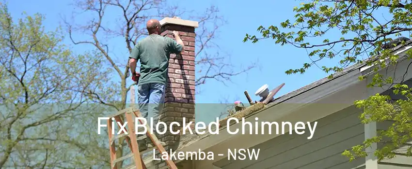 Fix Blocked Chimney Lakemba - NSW