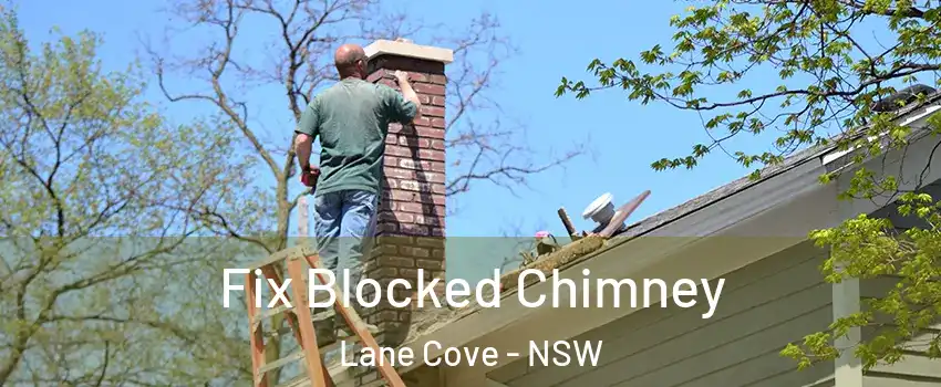 Fix Blocked Chimney Lane Cove - NSW