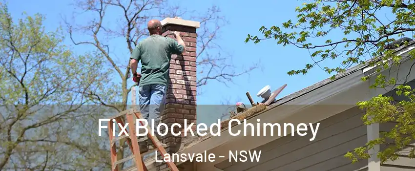 Fix Blocked Chimney Lansvale - NSW