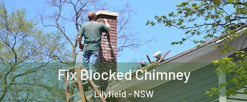 Fix Blocked Chimney Lilyfield - NSW