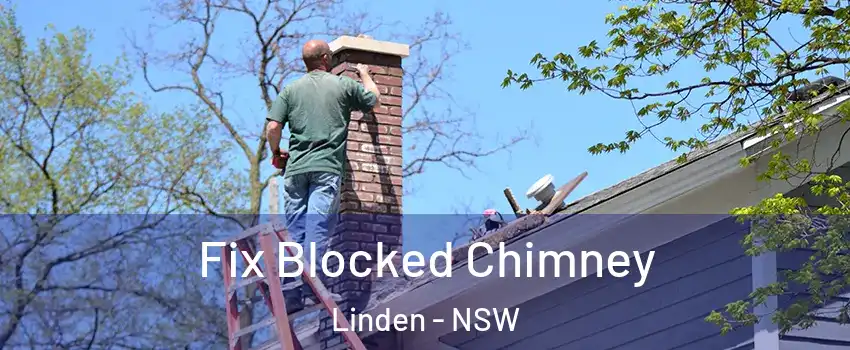 Fix Blocked Chimney Linden - NSW
