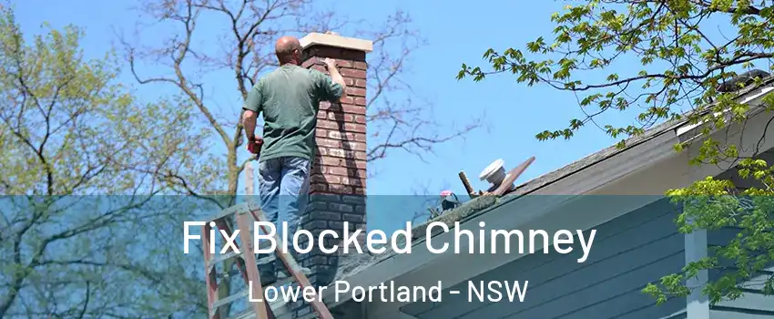 Fix Blocked Chimney Lower Portland - NSW