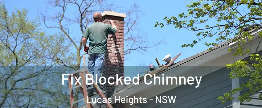 Fix Blocked Chimney Lucas Heights - NSW