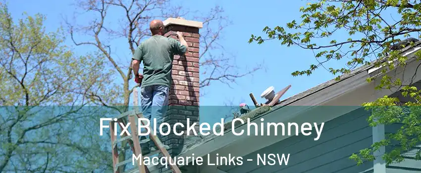 Fix Blocked Chimney Macquarie Links - NSW
