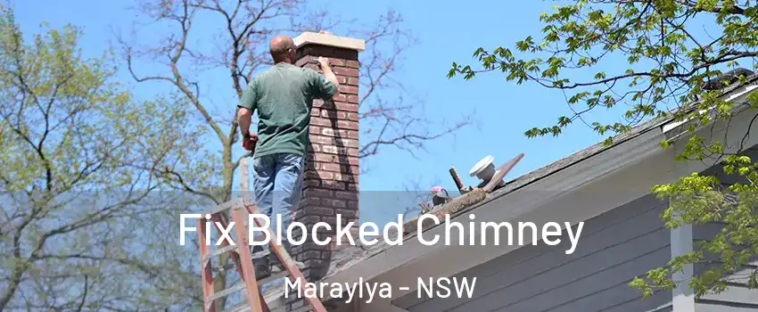 Fix Blocked Chimney Maraylya - NSW