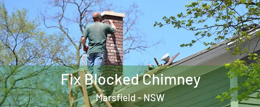 Fix Blocked Chimney Marsfield - NSW