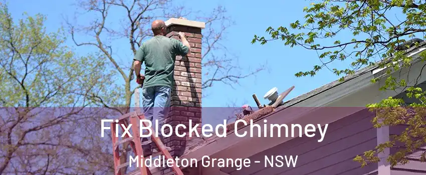Fix Blocked Chimney Middleton Grange - NSW
